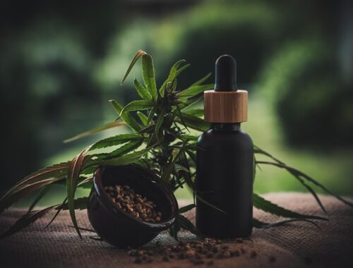 Tusindvis af danskere bruger denne lovlige cbd olie – her er forklaringen