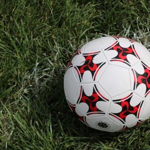 Fornyelse af champions league: En guldgrube for bettere?