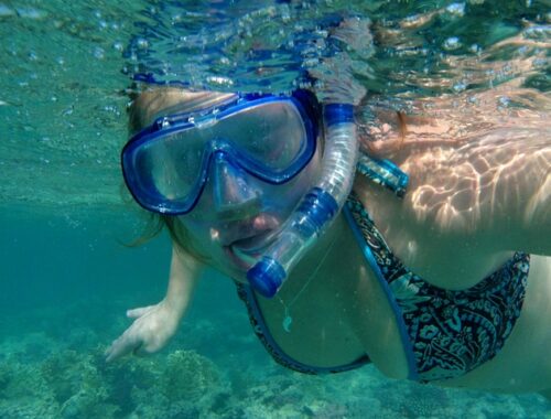Fra begynder til ekspert: Find den perfekte Speedo dykkerbrille til dit niveau